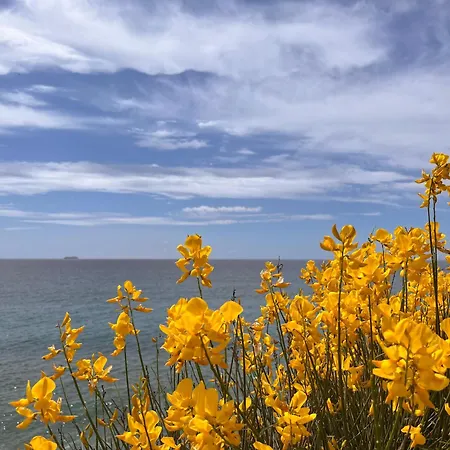 Daire Lo Scoglio Varigotti