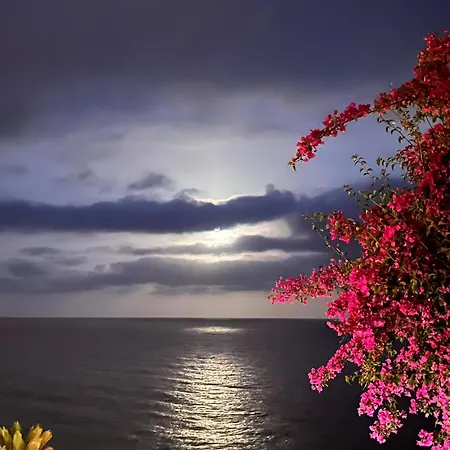 Lo Scoglio Daire Varigotti