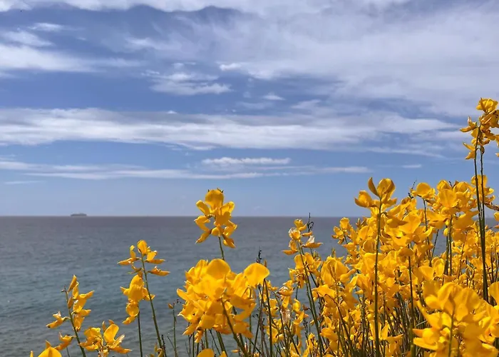 アパート Lo Scoglio ヴァリゴッティ