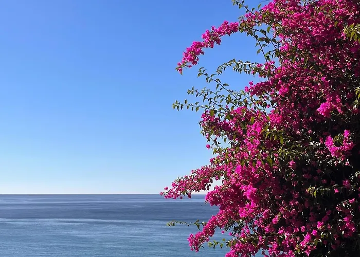 アパート Lo Scoglio