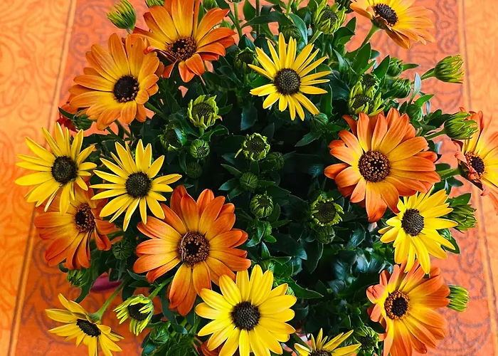 Lo Scoglio アパート